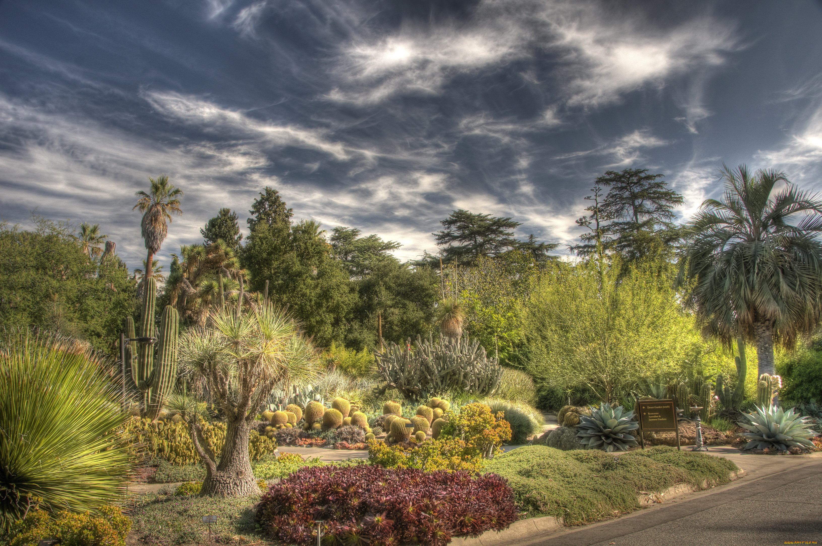 botanical, garden, san, marino, california, , , , , 